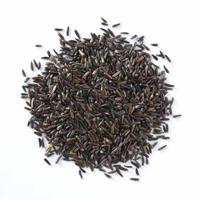 روغن زیره سیاه
